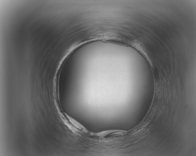 X0000053011099200507221307