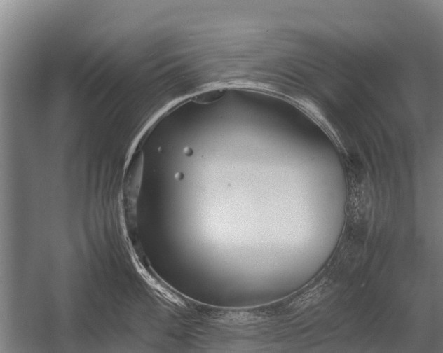 X0000053011100200507221307