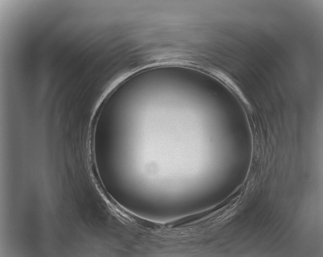 X0000053011101200507221307