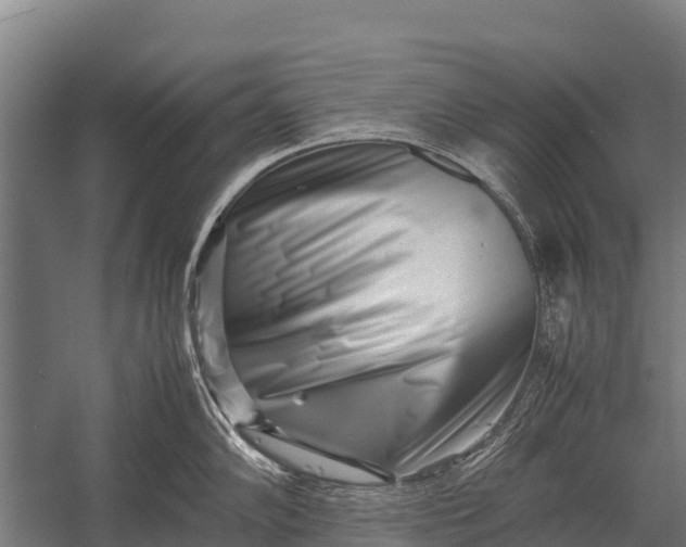 X0000053011102200507221307