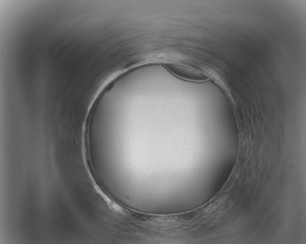 X0000053011103200507221307