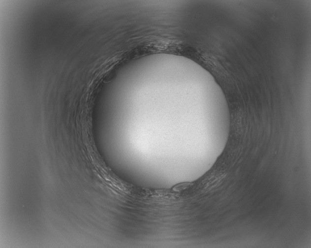 X0000053011105200507221306