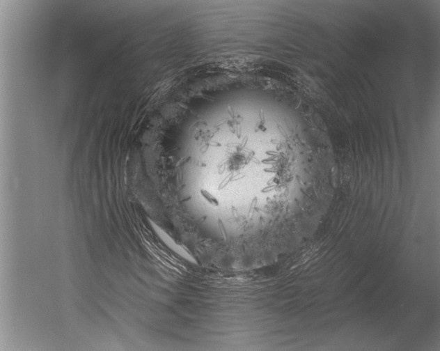 X0000053011106200507221306