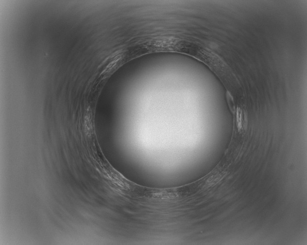 X0000053011107200507221306