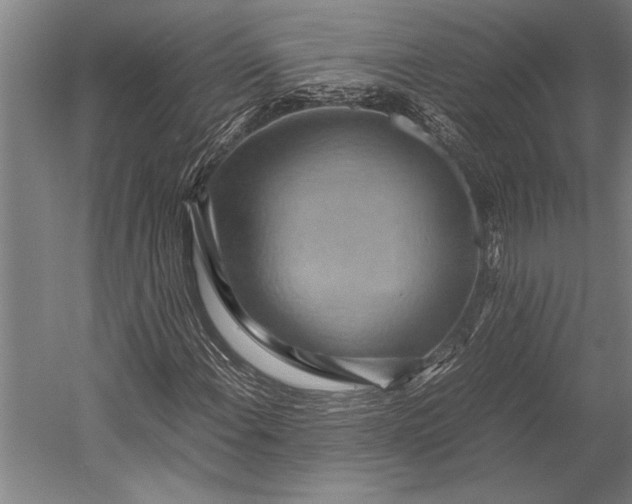 X0000053011108200507221306