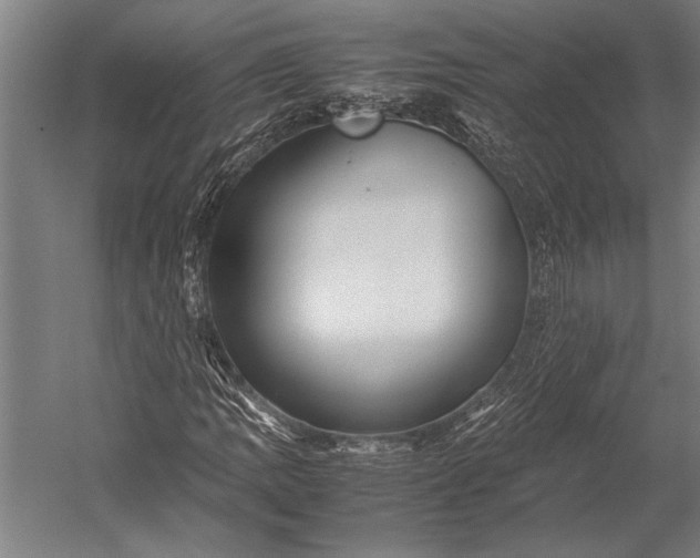 X0000053011109200507221306