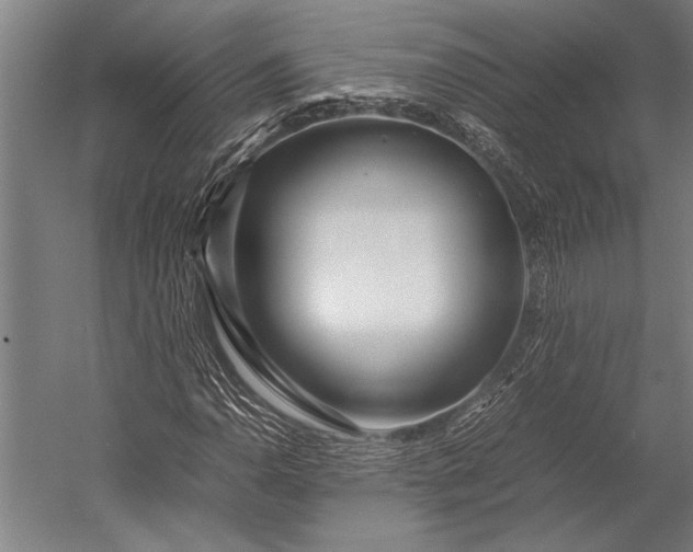 X0000053011110200507221306