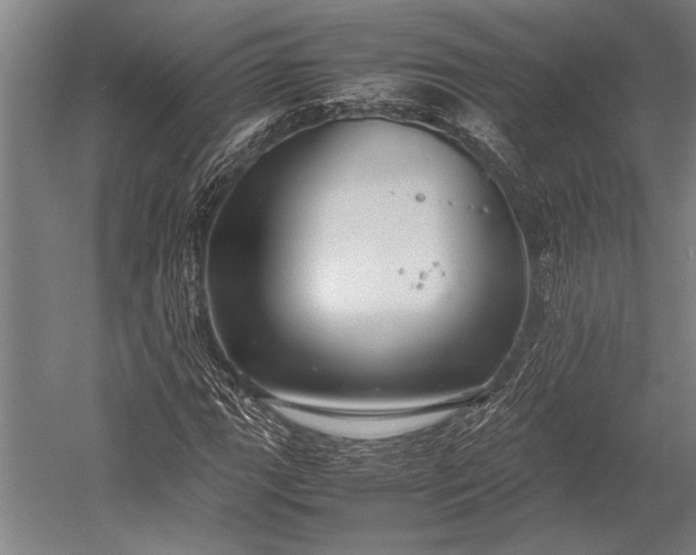 X0000053011111200507221306