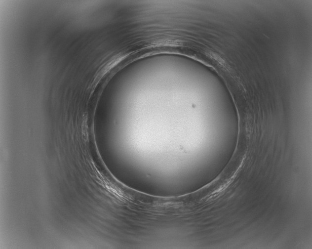 X0000053011113200507221306