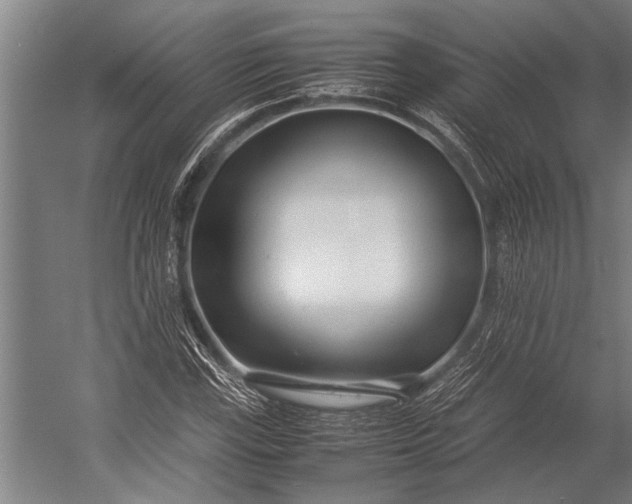 X0000053011115200507221306