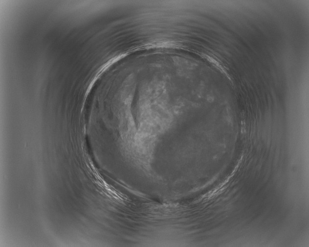 X0000053011117200507221306