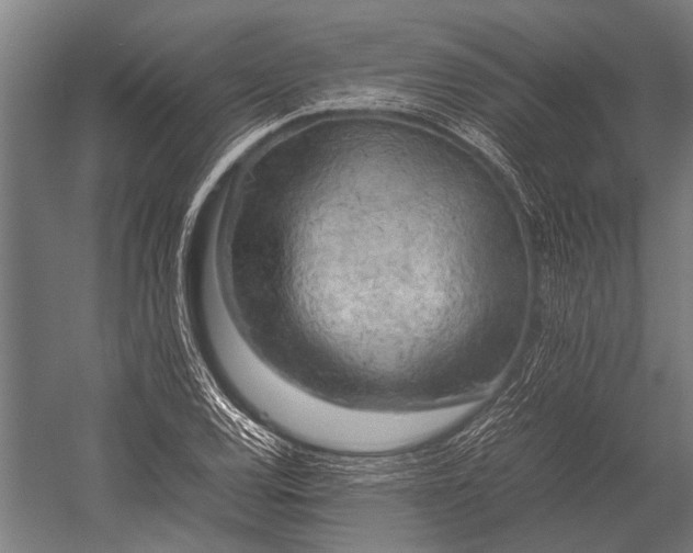 X0000053011120200507221306