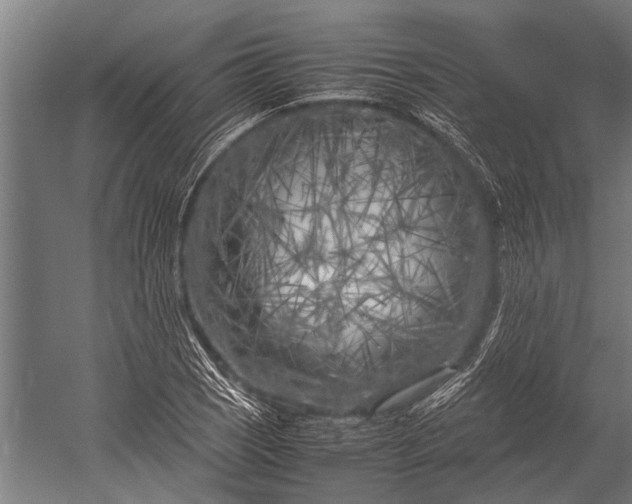 X0000053011121200507221306