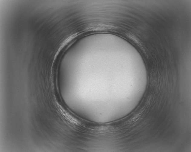 X0000053011122200507221306