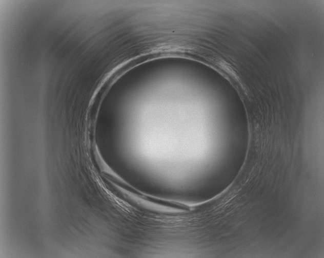 X0000053011124200507221306