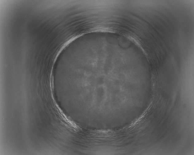 X0000053011125200507221306