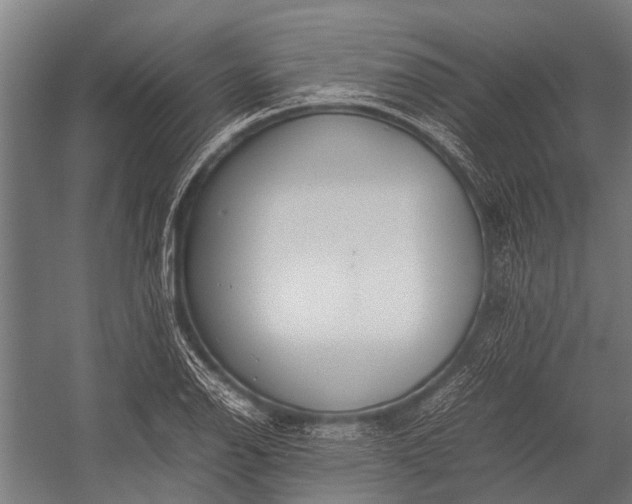 X0000053011126200507221306