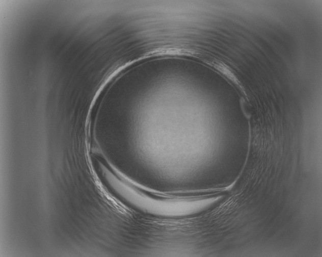 X0000053011132200507221306