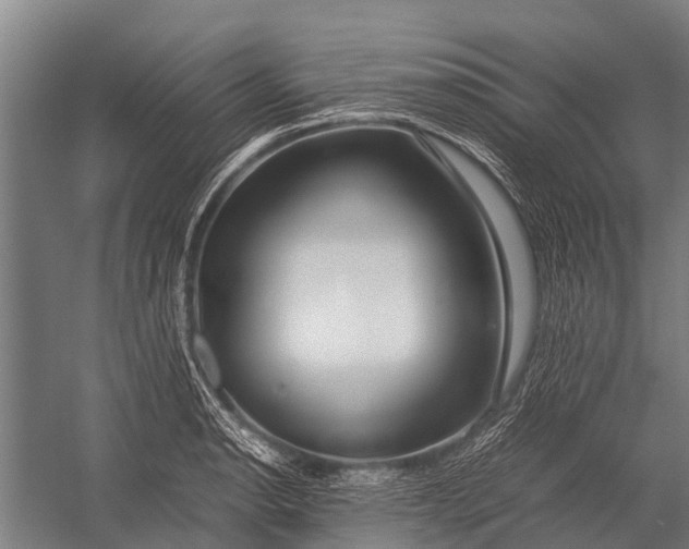 X0000053011134200507221306