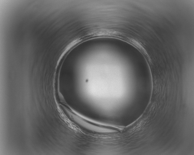 X0000053011138200507221306