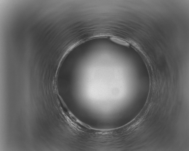 X0000053011145200507221306