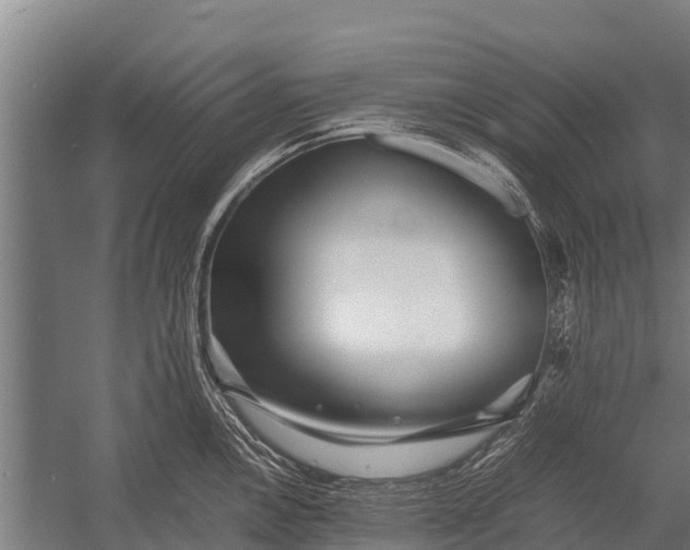 X0000053011146200507221306