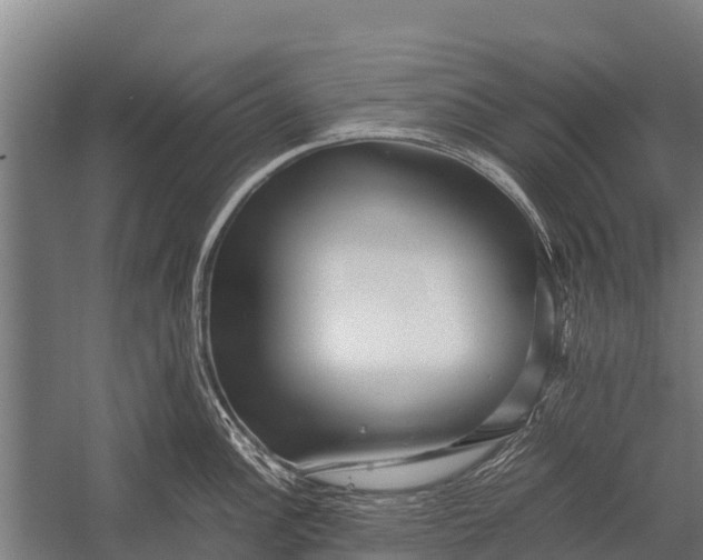 X0000053011148200507221306