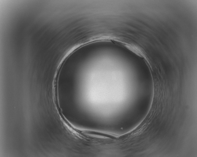 X0000053011151200507221306