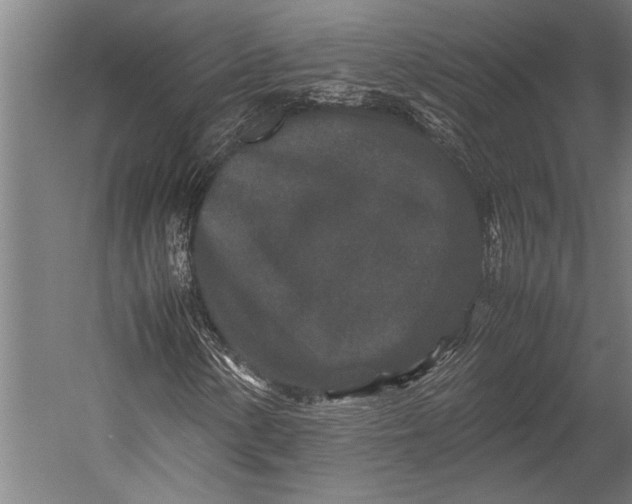 X0000053011154200507221306