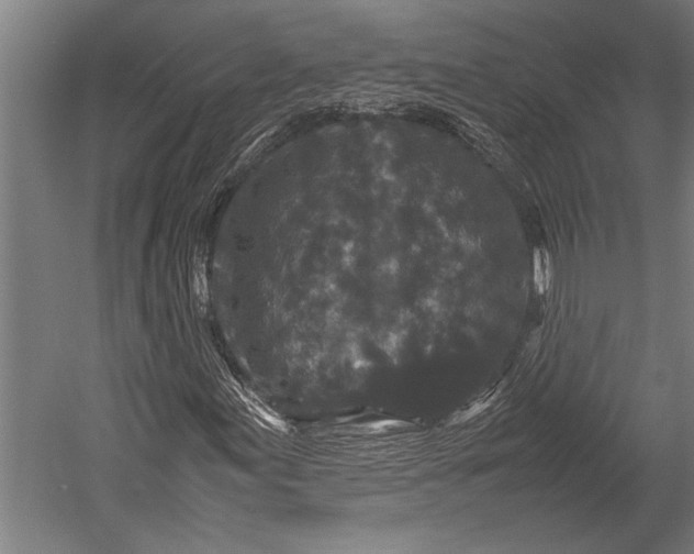 X0000053011155200507221306