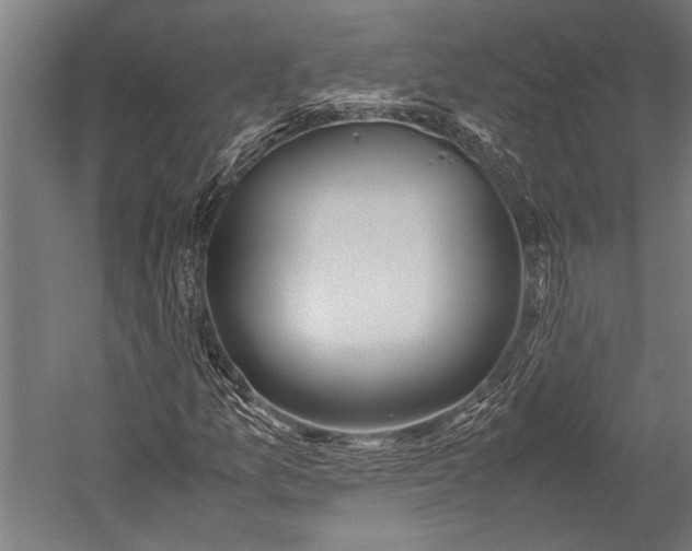 X0000053011157200507221306