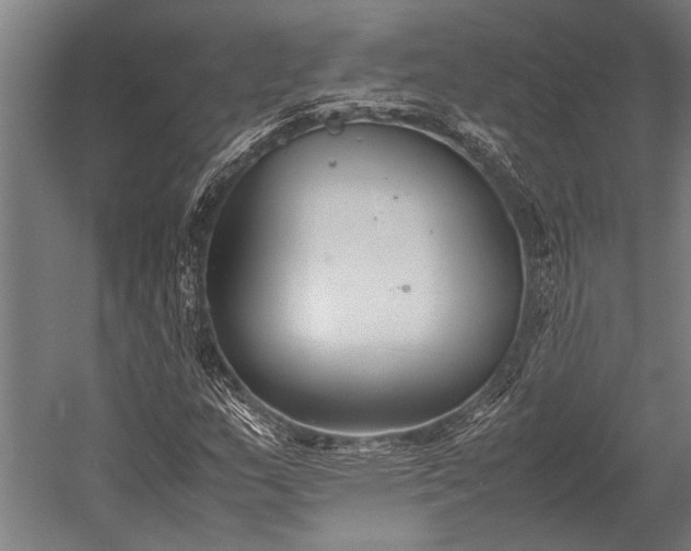 X0000053011159200507221306