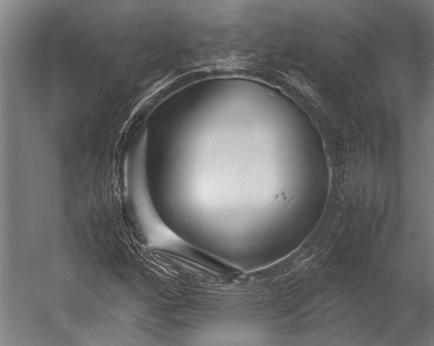 X0000053011160200507221306