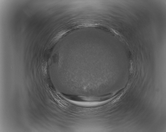 X0000053011161200507221306