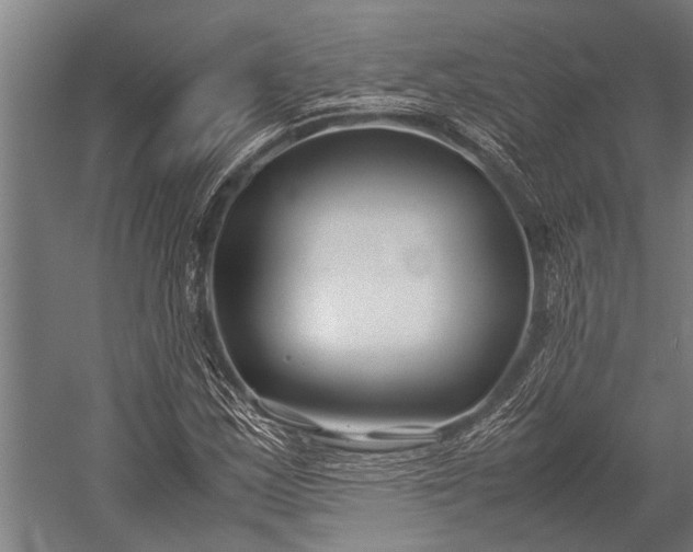 X0000053011163200507221305