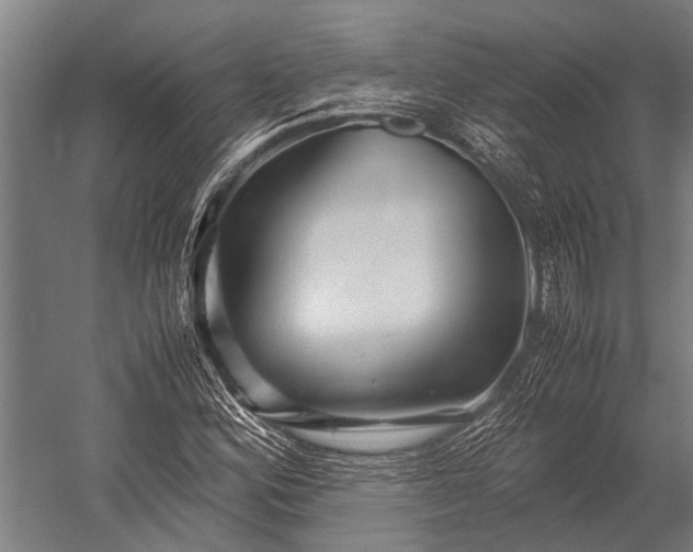 X0000053011164200507221305