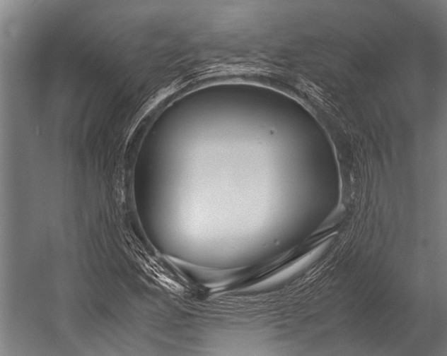 X0000053011165200507221305