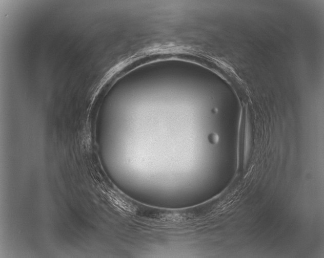 X0000053011167200507221305