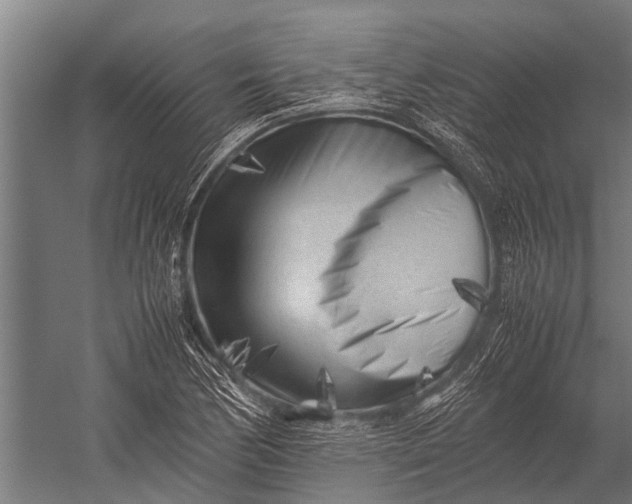 X0000053011170200507221305