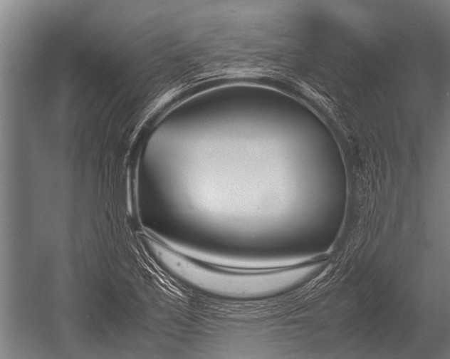 X0000053011171200507221305