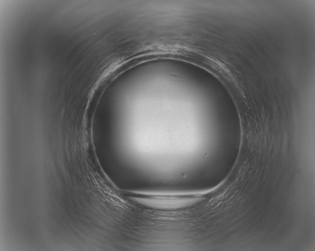 X0000053011172200507221305