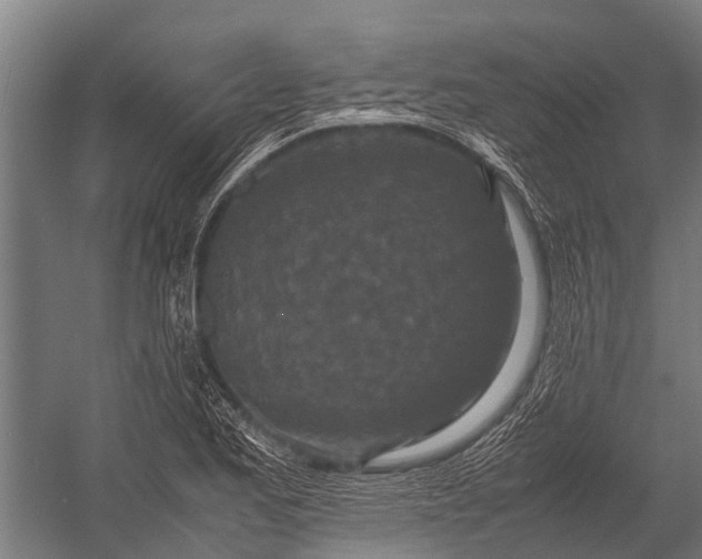 X0000053011173200507221305