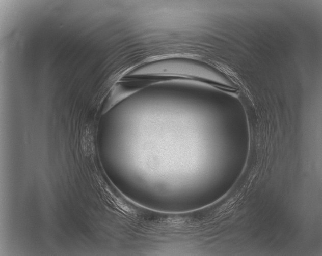 X0000053011177200507221305