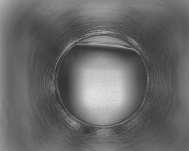 X0000053011178200507221305