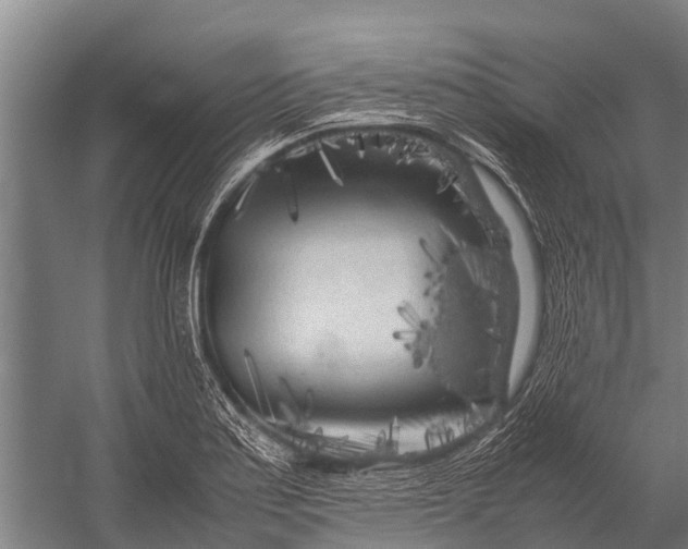 X0000053011179200507221305