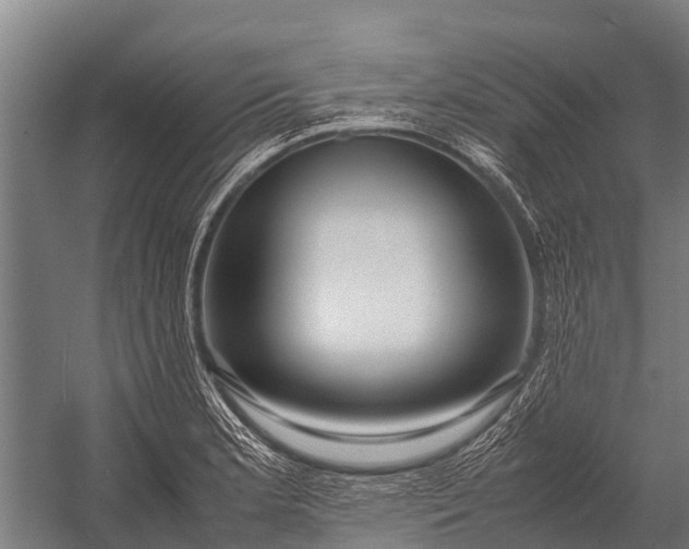 X0000053011181200507221305