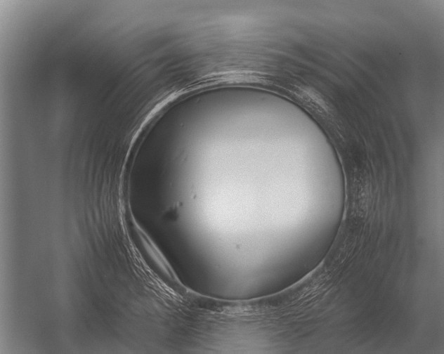 X0000053011182200507221305