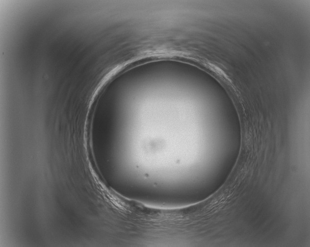 X0000053011183200507221305