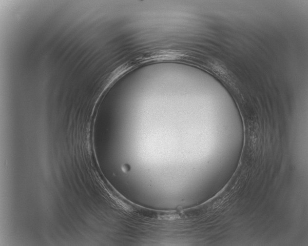 X0000053011186200507221305