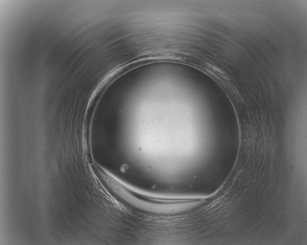 X0000053011188200507221305